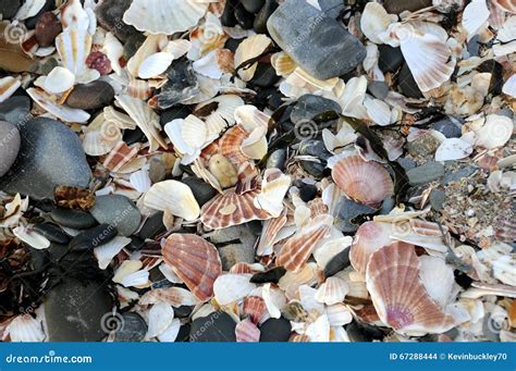 Shell Beach At Peel Isle Of Man Stock Photo Image Of Seaside Peel