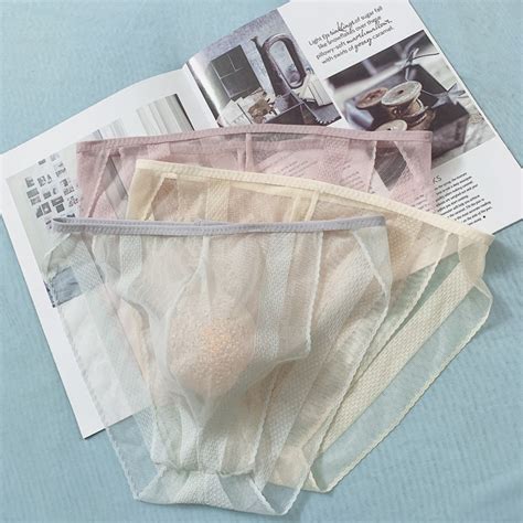Popm Men Sexy See Through Briefs Sheer Mesh Pouch Underwear Panties Lingerie Thong Shopee