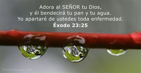 Xodo Vers Culo De La Biblia Del D A Dailyverses Net