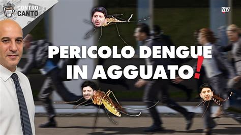 Pericolo Dengue In Agguato Il Controcanto Rassegna Stampa Del