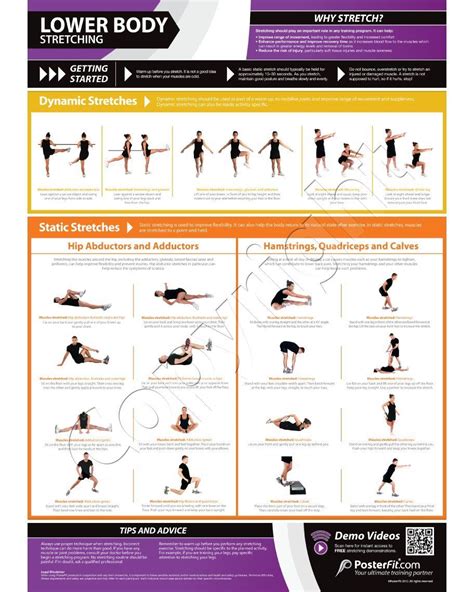 Lower Body Exercise Wall Chart A3 Laminated With On Line Video