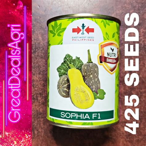 Sophia F Hybrid Butternut Squash Seeds Seeds East West Seeds