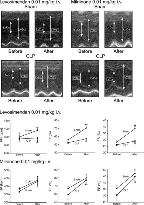 Effects Of Levosimendan And Milrinone On Lv Function In Mice After Sham