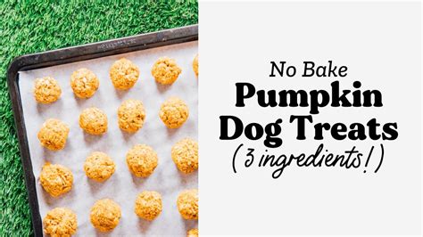 No Bake Pumpkin Dog Treats Recipe Youtube