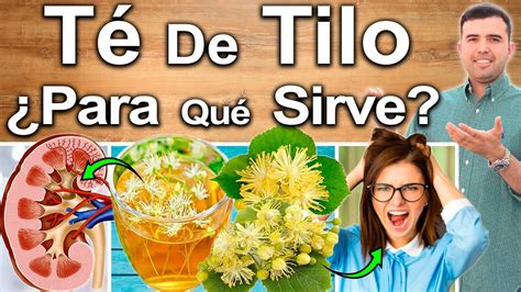 Te De Tilo O Tila Para Qu Sirve Beneficios Para Tu Salud Y Belleza