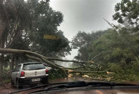 Alerta Vento Derruba Rvore E Interdita Ms Entre F Tima Do Sul E