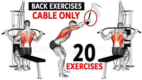 Cable Only Back Exercises Get Wider Back Gym Workout Motivation