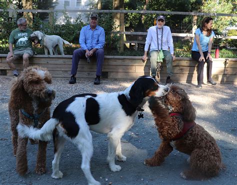 Chevy Chase Village Board Votes To Disestablish Dog Park Montgomery