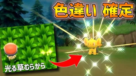 【ポケモンbdsp】色違いポケモン確定！光る草むらの出し方を解説します【ポケトレ】 ポケモンgo動画まとめ