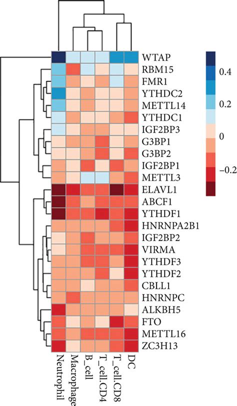 Correlation Analysis Of M6a Regulators And Immune Cell Infiltration