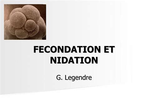 PDF FECONDATION ET NIDATION Data Over Blog Kiwi Comdata Over Blog