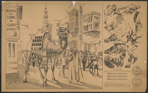 Free Mounting The Camel In Cairo Free Photo Rawpixel Nohatcc