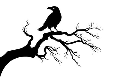 Raven Silhouette Vector Art, Icons, and Graphics for Free Download