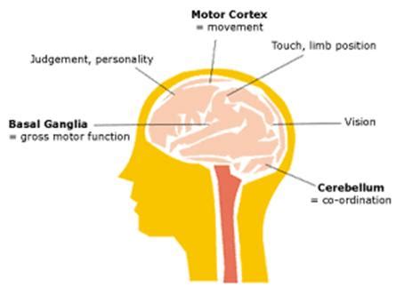 Unit 1 Cerebral Palsy CP