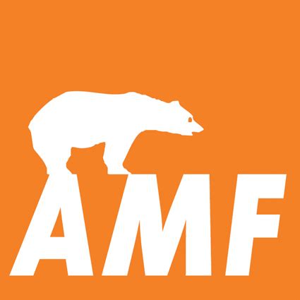 Подвесные потолки AMF в интернет-магазине Армстронг-потолки