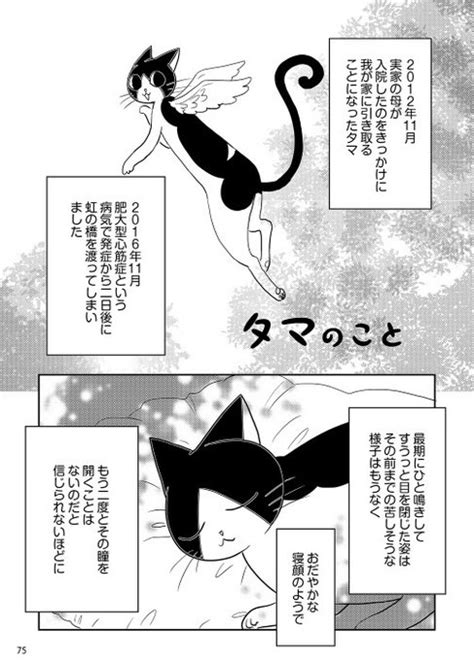 猫の日 ということなので。ほぼ定期で流している「タマのこと」とその後の「ミーさんとクロちゃんのこと」をツイートします。」ふくだもとこ