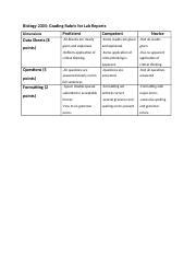 Lab Reports Docx Biology Grading Rubric For Lab Reports