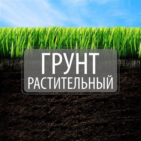 Грунт растительный с доставкой самосвалом (ID#36645189), цена: 240 руб ...