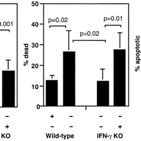 Increased In Vitro Proliferation Of Activated Cd4 T Cells Of Ifn γ Ko