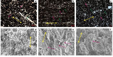 77 Compaction of black rocks in the Longmaxi Formation in the Southern ... 
