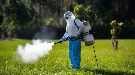 Fumiga O De Mosquitos Portadores Do V Rus Da Dengue Zika Ou Da Mal Ria