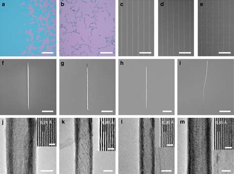 Transition Metal Dichalcogenide Tmd Nanoscrolls Nss From Download Scientific Diagram