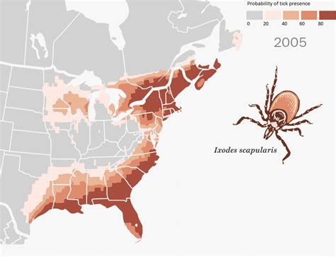 Geographic Distribution Of Ticks And Disease Cases In The Us Vivid Maps