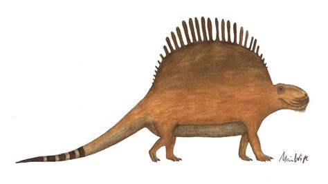 Dimetrodon Limbatus Prehistoric Creatures Prehistoric Art Reference