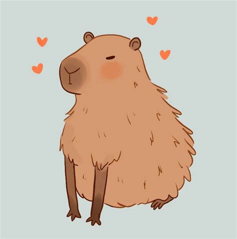 Capybara Cute Illustration Nice Capybara Sticker For Sale By