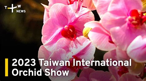 2023 Taiwan International Orchid Show Opens In Tainan TaiwanPlus New