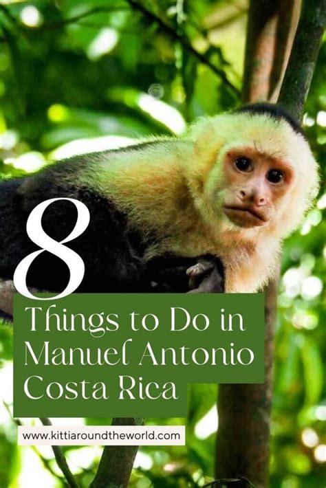 Best Things To Do In Manuel Antonio And Quepos Costa Rica Artofit