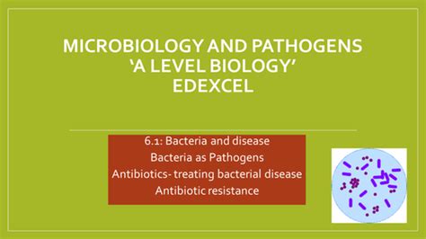 Edexcel A Level Biologybacteria As Pathogens Teaching Resources