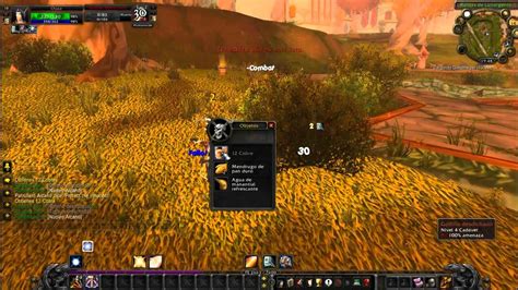 Guia Para Principiantes De World Of Warcraft Parte Niveles