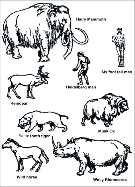 Early Pleistocene animals (modified after weckipedia.mobi/thumb ...