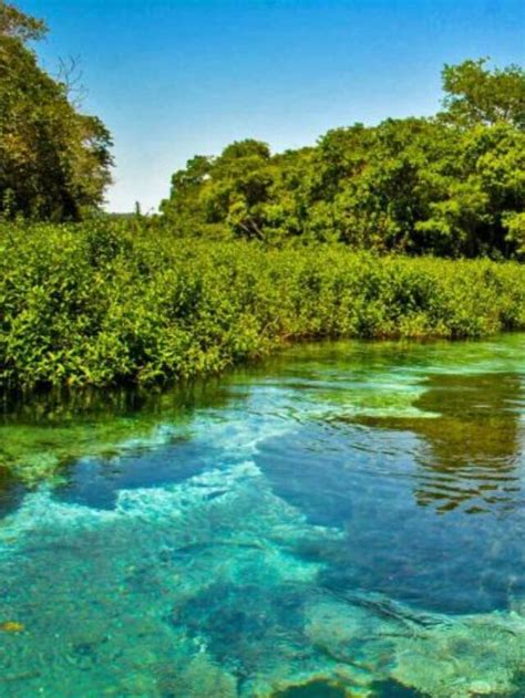 Turismo Em Bonito Saiba Como Contratar Um Pacote Bonito Ms