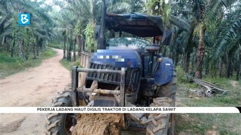 Pekerja Ladang Maut Digilis Traktor Di Ladang Kelapa Sawit YouTube