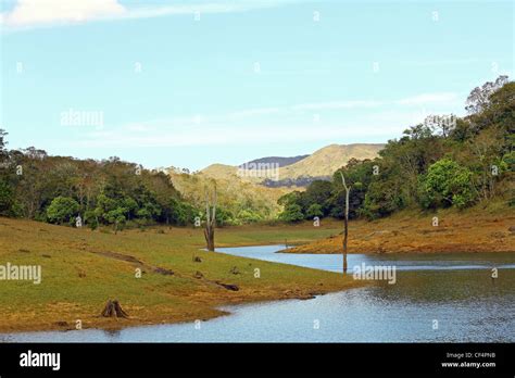 Thekkady, Periyar national park, Kerala, India Stock Photo - Alamy