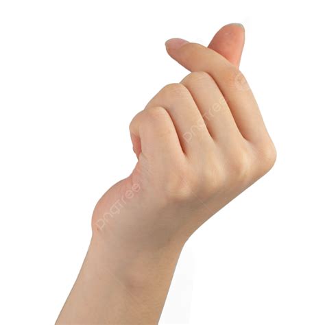 Hand Gesture Modeling Body Movements Limb Hand PNG Transparent Image