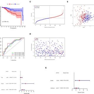 Predictive Performance Of The Gene Signature In The TCGA Validation