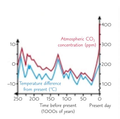 Topic 4 P40 Carbon Dioxide Flashcards Quizlet