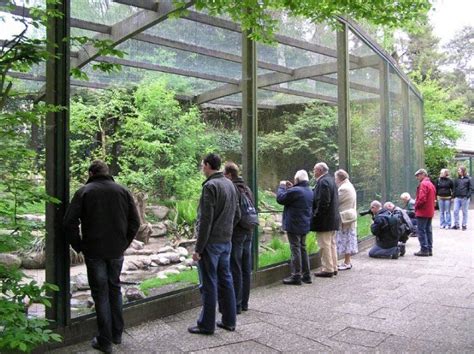 Weltvogelpark Walsrode Zoo Architecture Zoo Project Animal Sanctuary