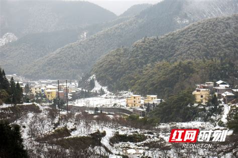 湖南蓝山：春雪如期而至 雪景美不胜收蓝山永州站红网