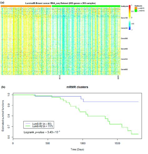 Two Subgroups Of Luminal B Breast Samples A A Partition Of