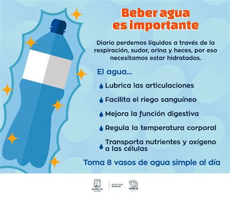 Emite Ssm Recomendaciones Por Altas Temperaturas Zona Centro Noticias