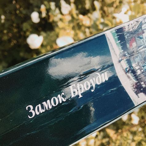 Отзыв на роман Замок Броуди