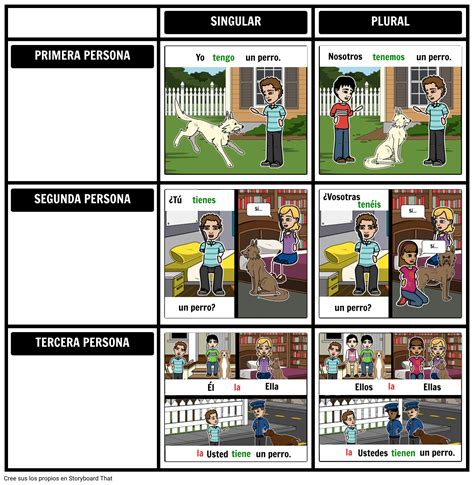 Tener Conjugación con Adjetivos Posesivos Storyboard