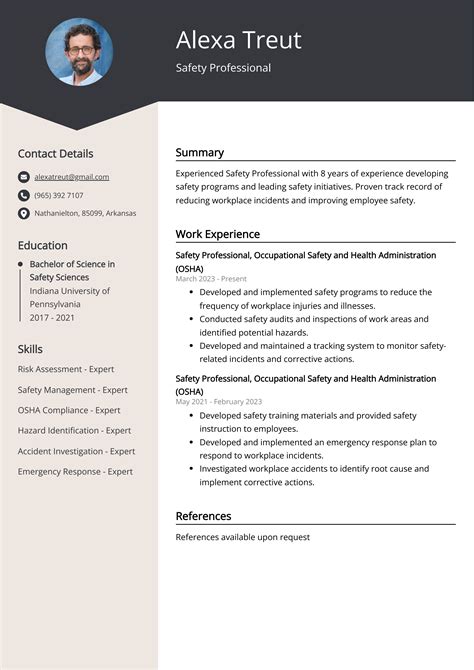 Safety Professional Resume Examples Template And 20 Tips