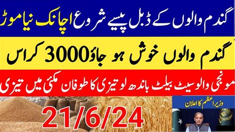 Gundam Rate Today Gala Mandi Rate Today In Punjab Makki Ka Rate