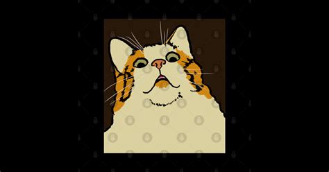 Panicked Cat Meme - Scared Cat - Sticker | TeePublic