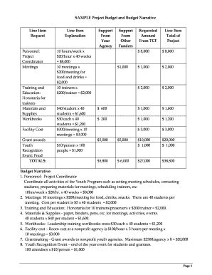 Budget Narrative Fill Online Printable Fillable Blank Pdffiller